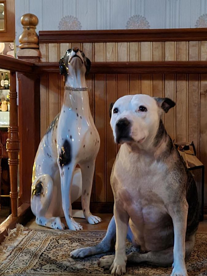 Skogsbrynet B&B, Bredsjoe Nya Herrgard Hällefors エクステリア 写真